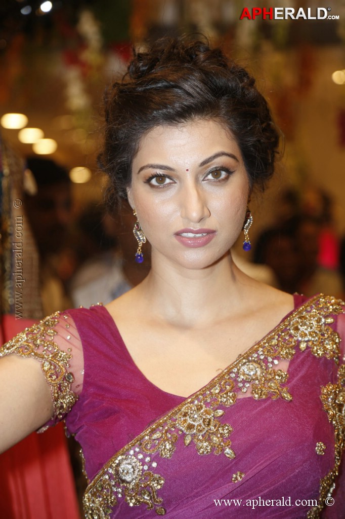 Hamsa Nandini Spicy Stills