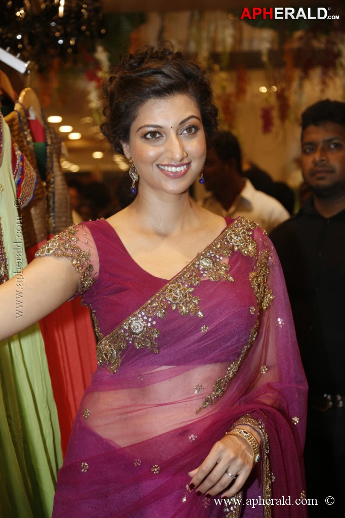 Hamsa Nandini Spicy Stills