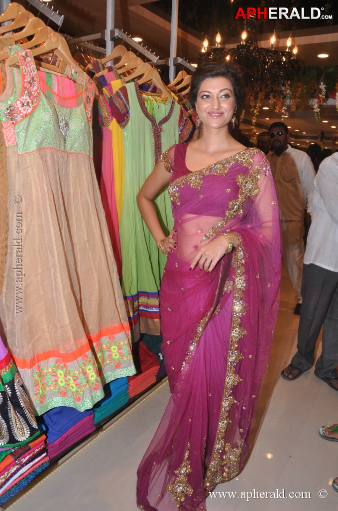 Hamsa Nandini Spicy Stills