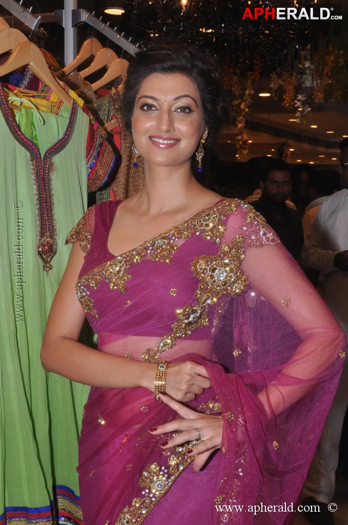 Hamsa Nandini Spicy Stills
