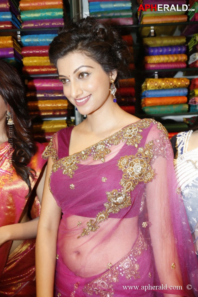 Hamsa Nandini Spicy Stills