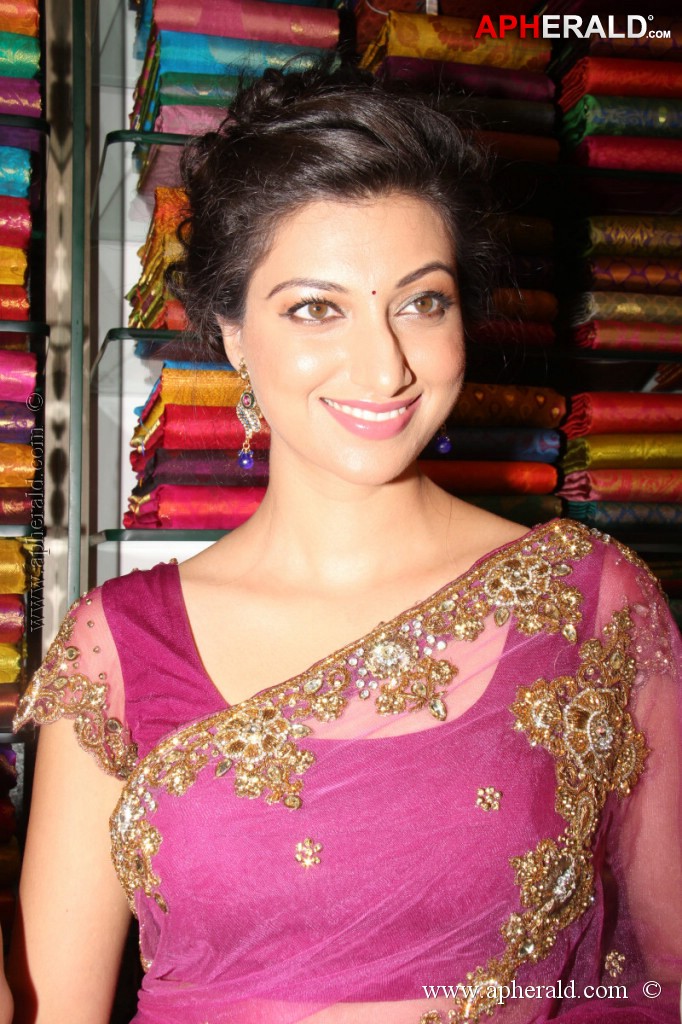 Hamsa Nandini Spicy Stills