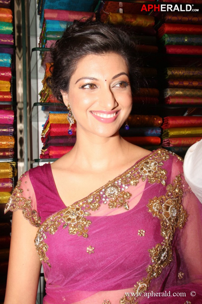 Hamsa Nandini Spicy Stills
