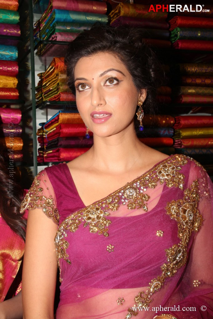 Hamsa Nandini Spicy Stills