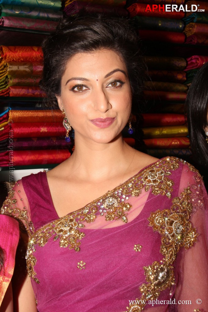 Hamsa Nandini Spicy Stills