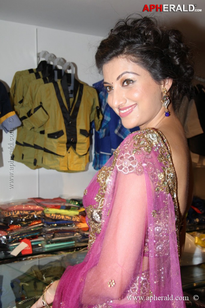 Hamsa Nandini Spicy Stills