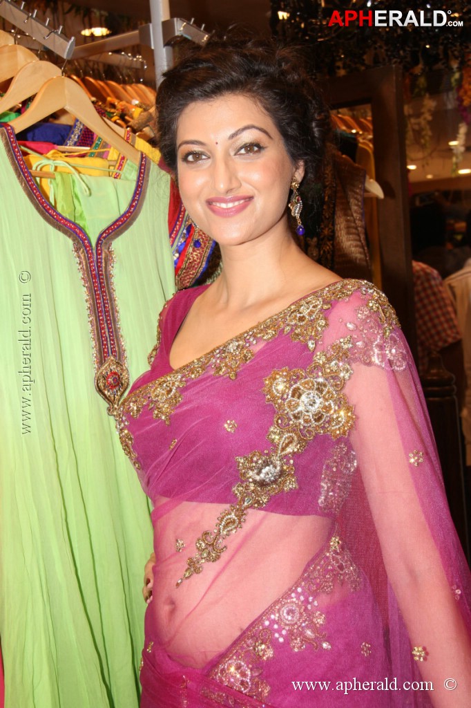 Hamsa Nandini Spicy Stills