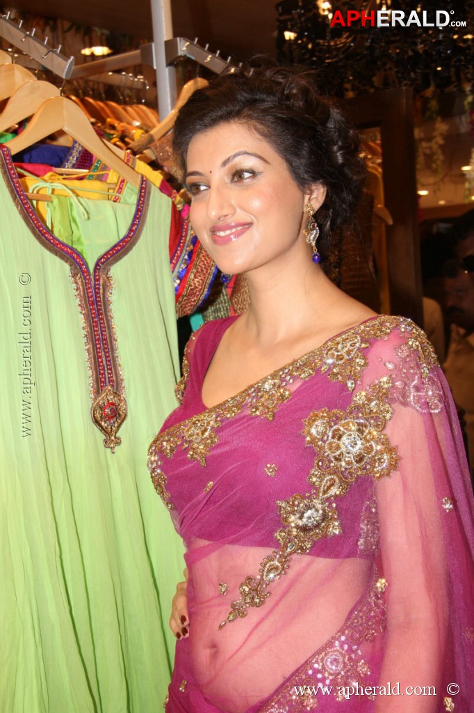 Hamsa Nandini Spicy Stills