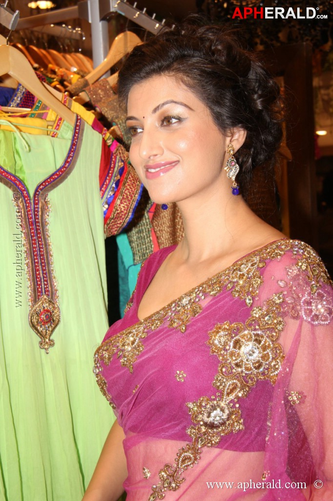Hamsa Nandini Spicy Stills