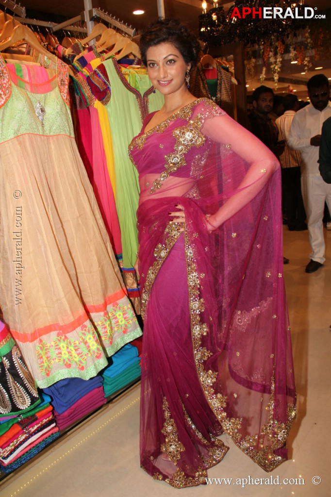 Hamsa Nandini Spicy Stills
