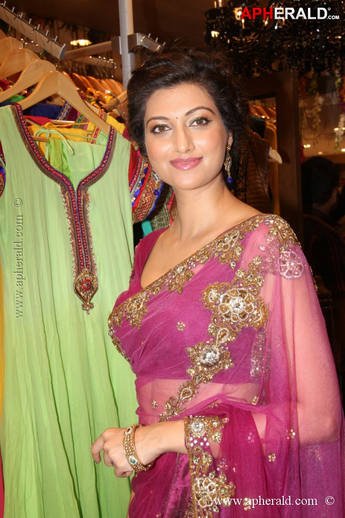 Hamsa Nandini Spicy Stills