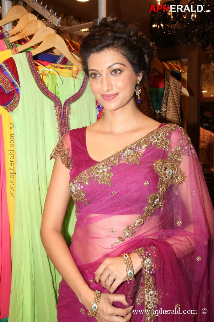 Hamsa Nandini Spicy Stills
