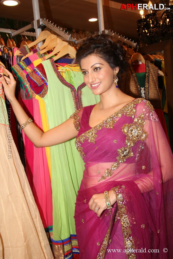 Hamsa Nandini Spicy Stills