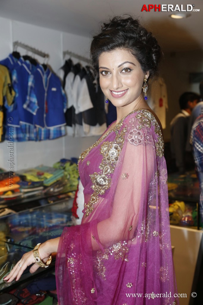 Hamsa Nandini Spicy Stills
