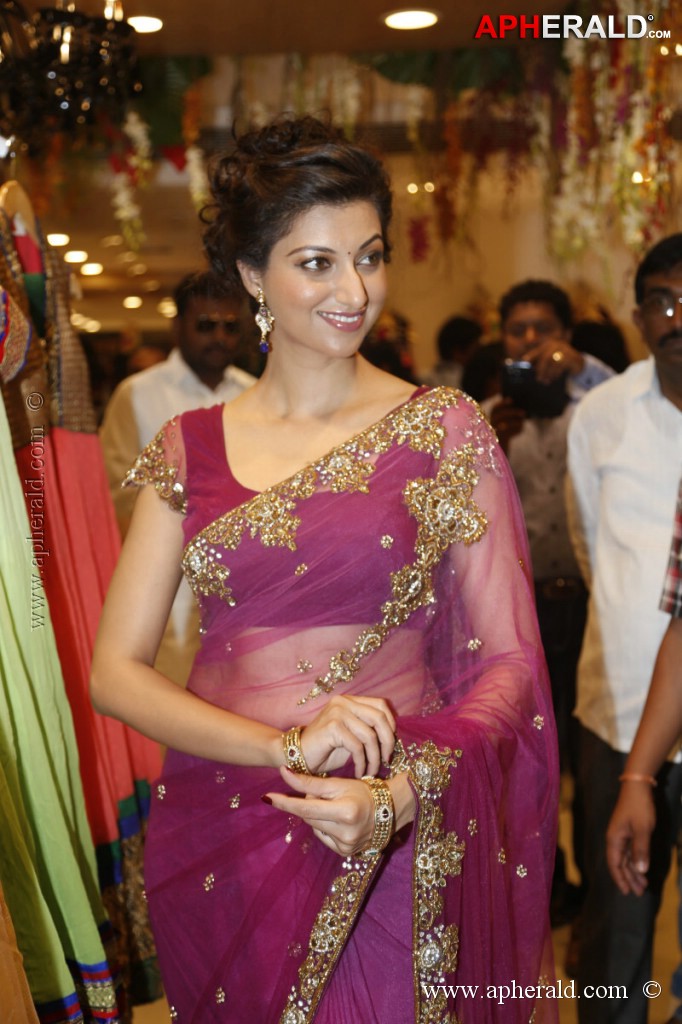Hamsa Nandini Spicy Stills