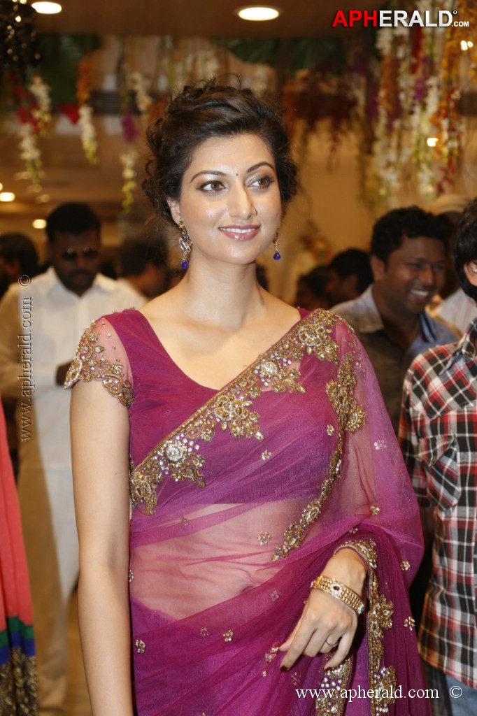 Hamsa Nandini Spicy Stills