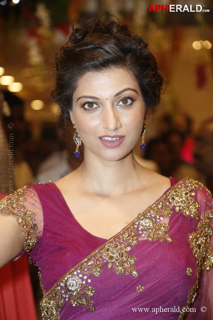 Hamsa Nandini Spicy Stills