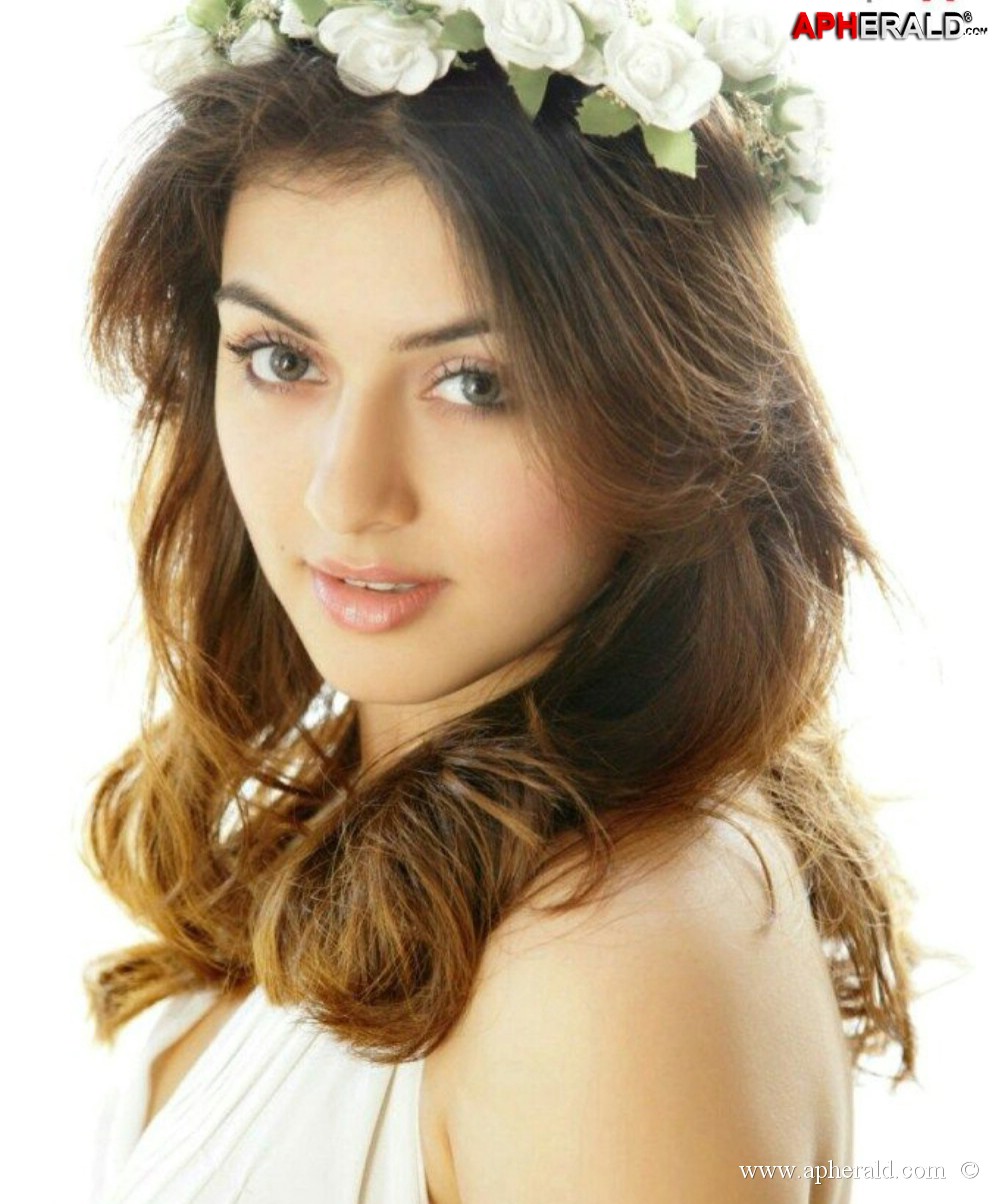 Hansika Motwani images