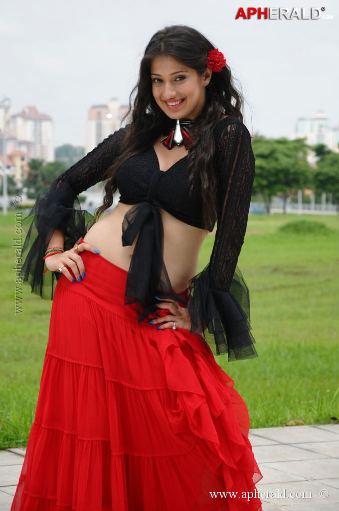 Lakshmi Rai Spicy Photos