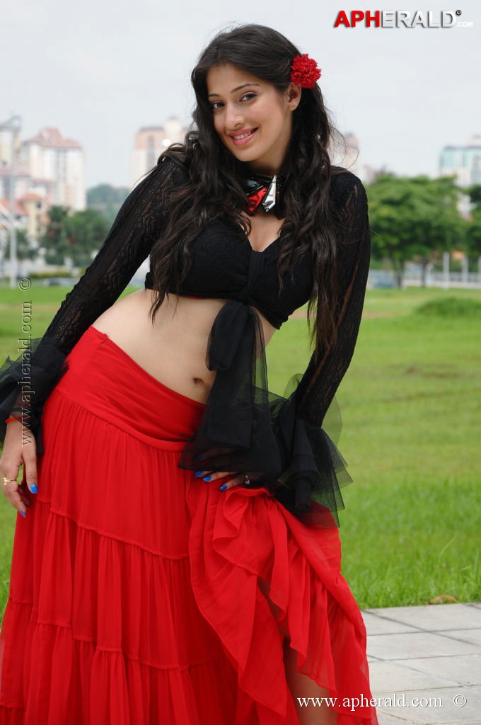 Lakshmi Rai Spicy Photos