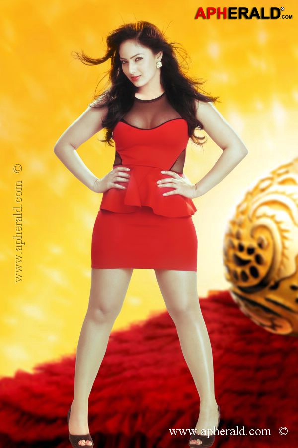 Nikesha Patel New Pics