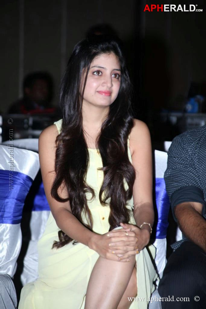 Poonam Kaur Stills at Kiss Movie Audio Launch