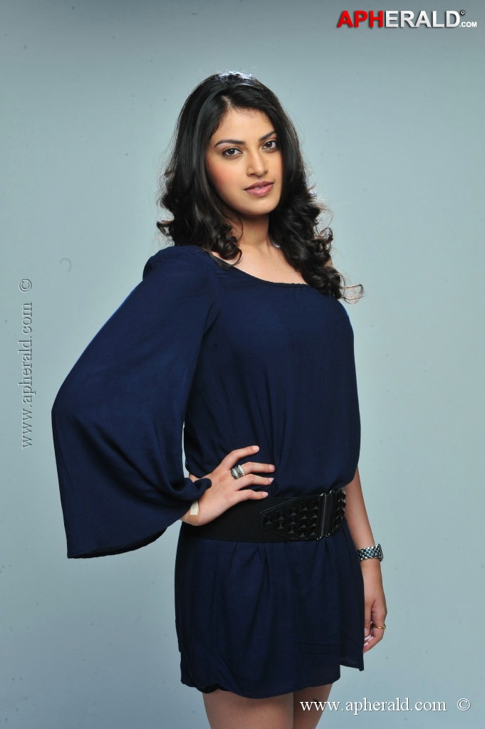 Pragalbha New Stills