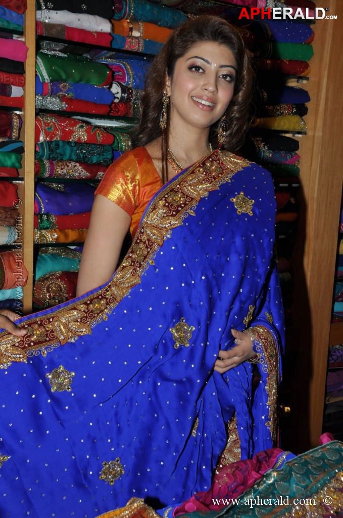 Pranitha Latest Pics