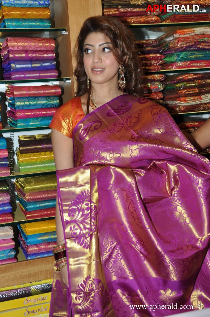 Pranitha Latest Pics