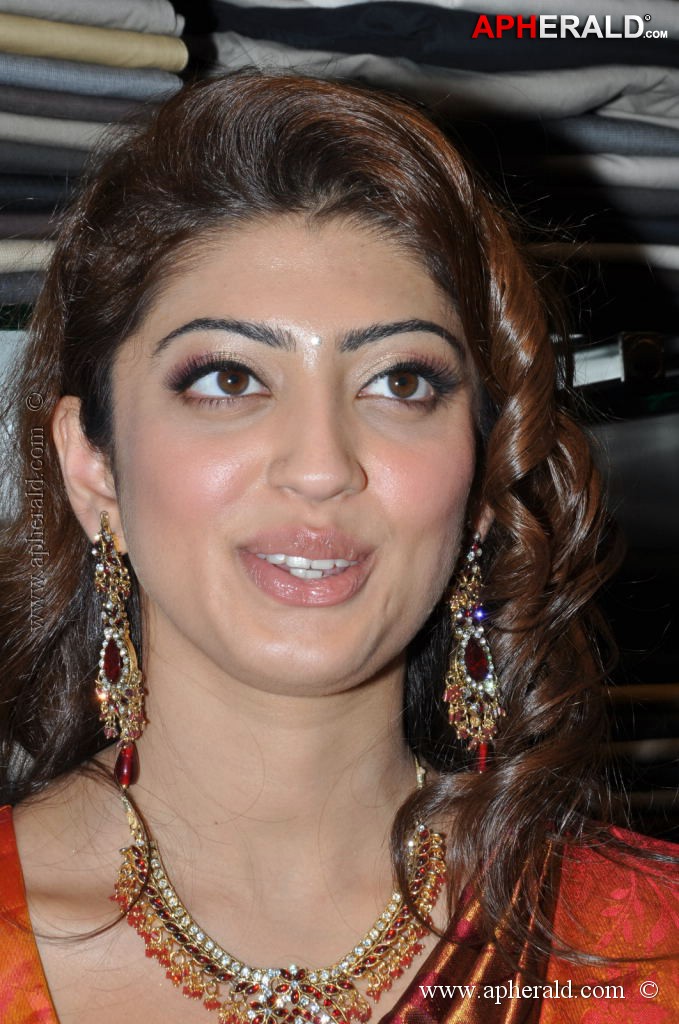 Pranitha Latest Pics