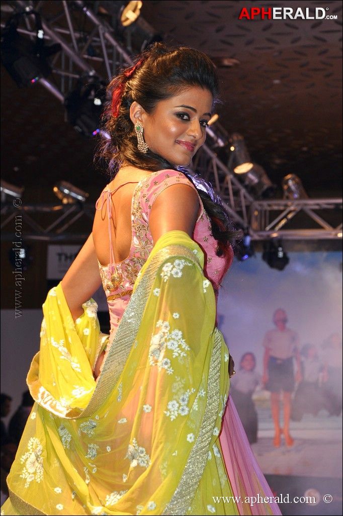 Priyamani Hot Photos