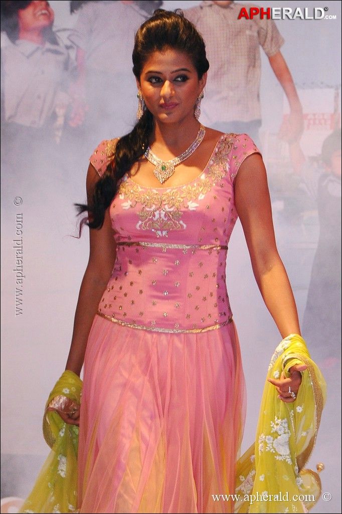 Priyamani Hot Photos