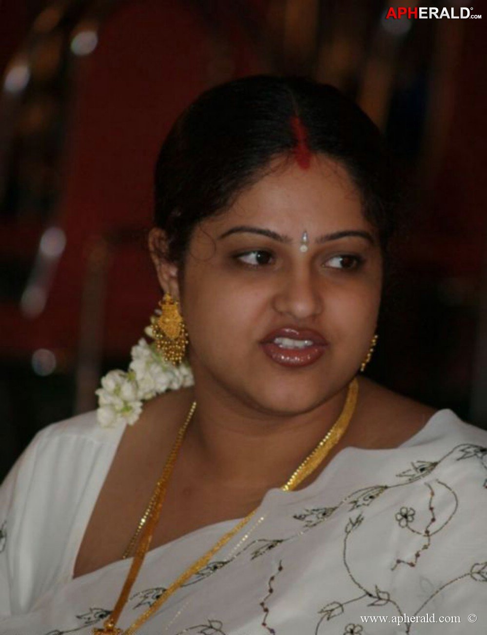 raasi in saree pics