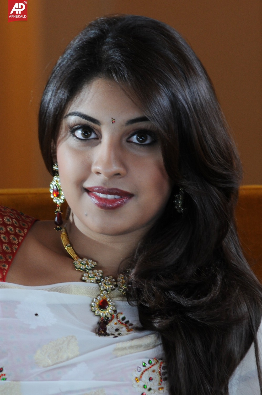 Richa Gangopadhyay in Saree Images