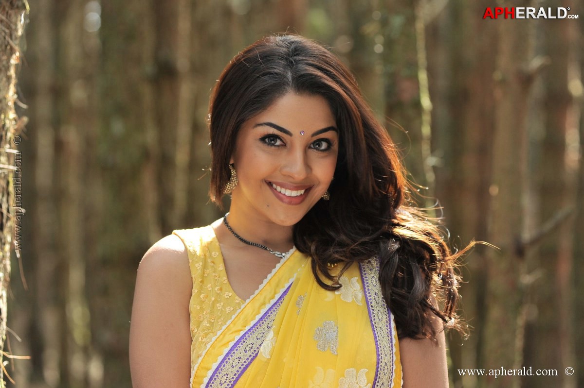 Richa Gangopadhyay Saree Stills