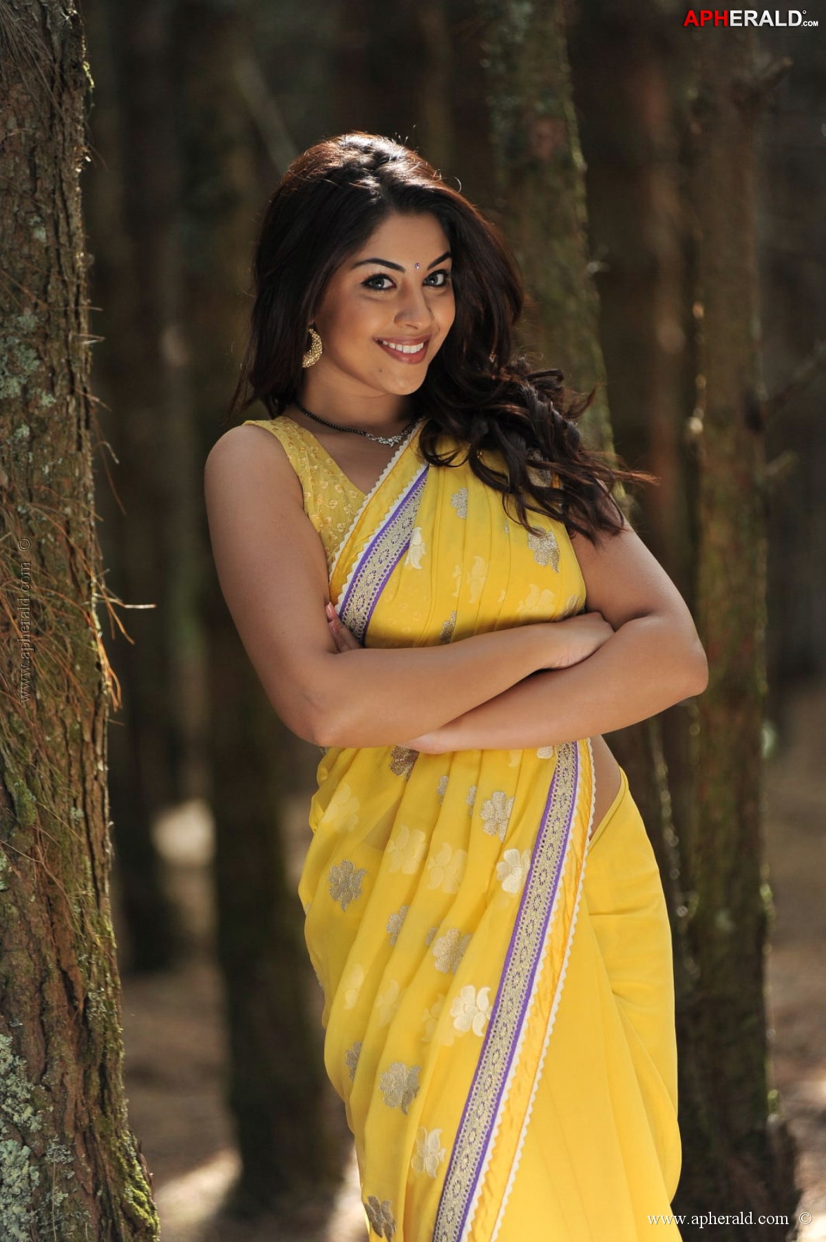 Richa Gangopadhyay Saree Stills