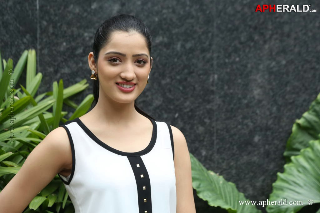 Richa Panai New Photos