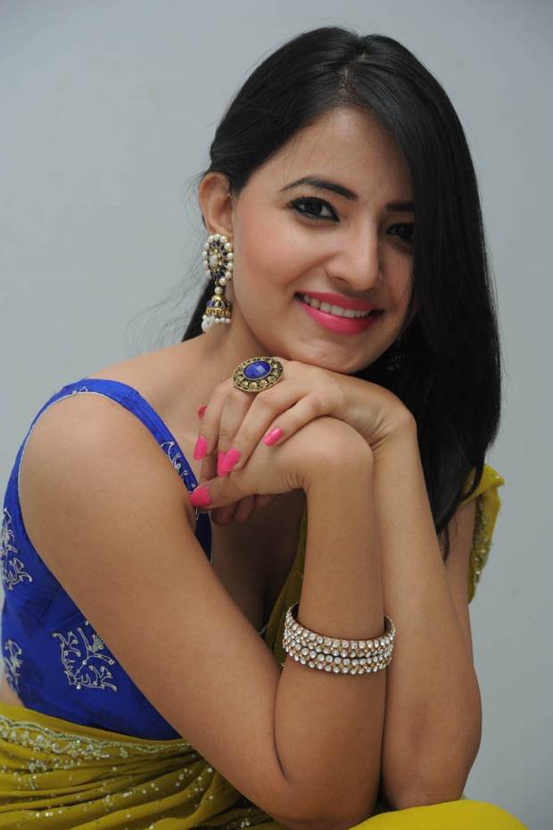 Ruksar Meer Beautiful Sare Stills