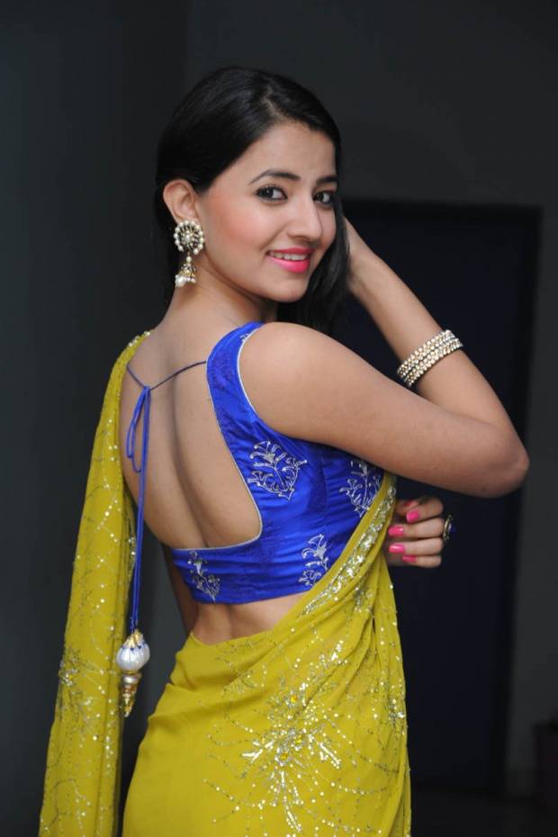 Ruksar Meer Beautiful Sare Stills