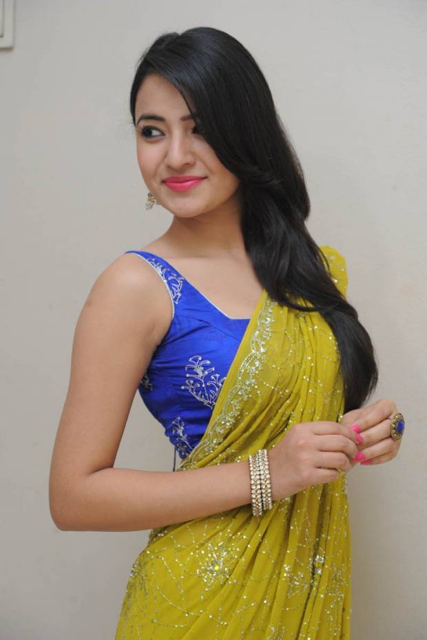 Ruksar Meer Beautiful Sare Stills