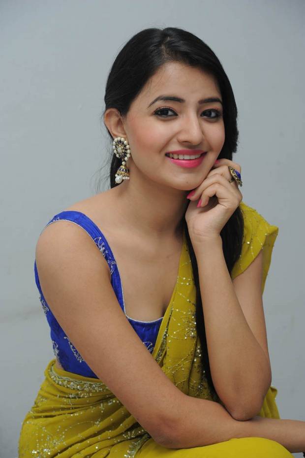 Ruksar Meer Beautiful Sare Stills