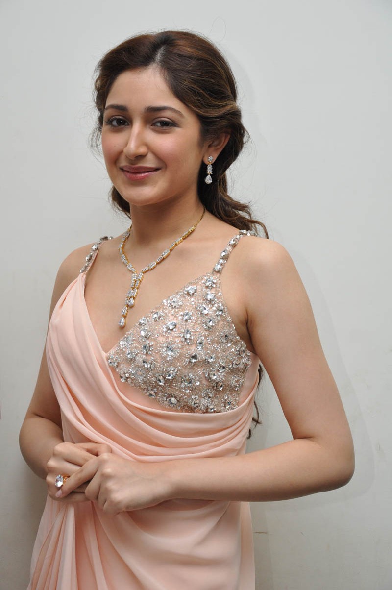 Sayesha Saigal Stills