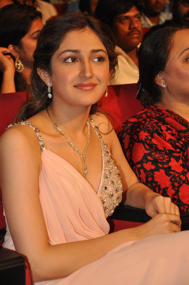 Sayesha Saigal Stills