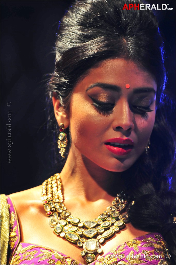 Shriya Saran Sizzling Cute Photos