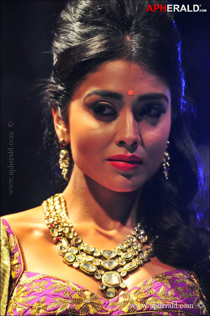 Shriya Saran Sizzling Cute Photos