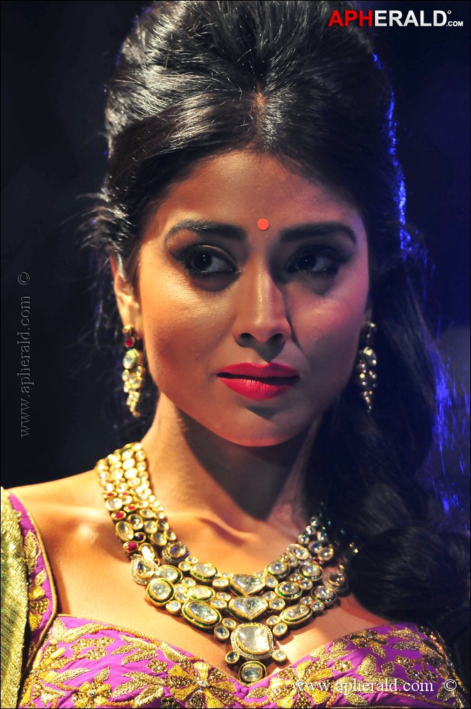 Shriya Saran Sizzling Cute Photos