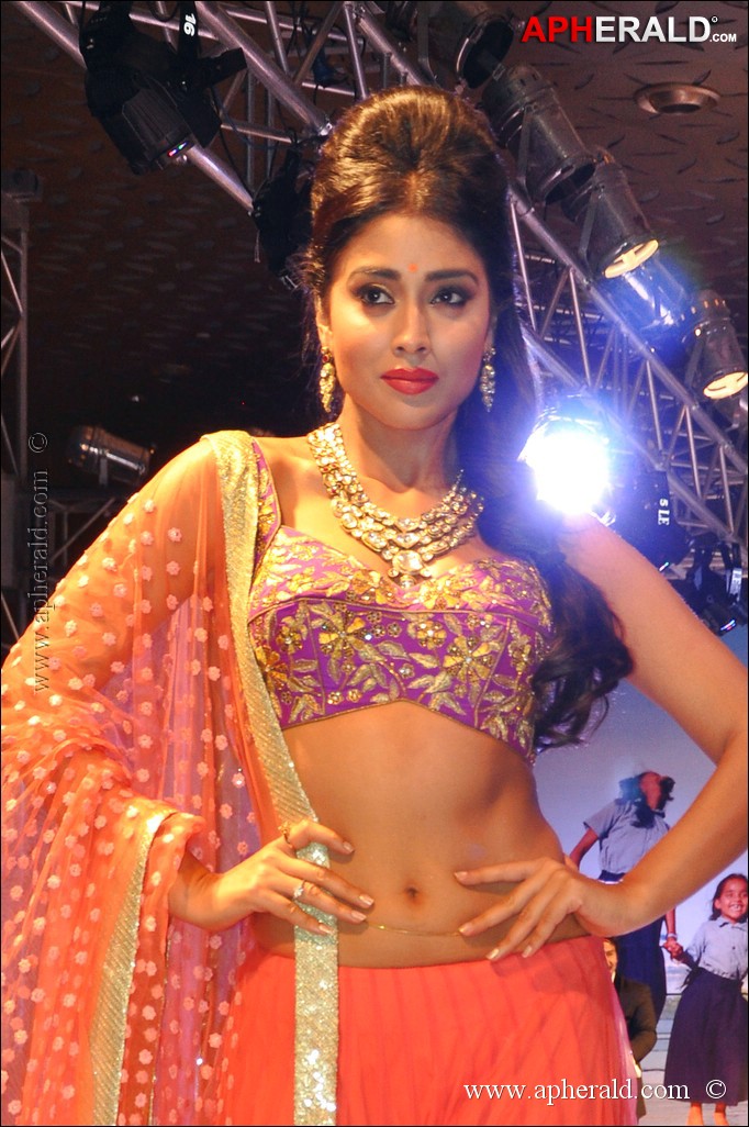 Shriya Saran Sizzling Cute Photos