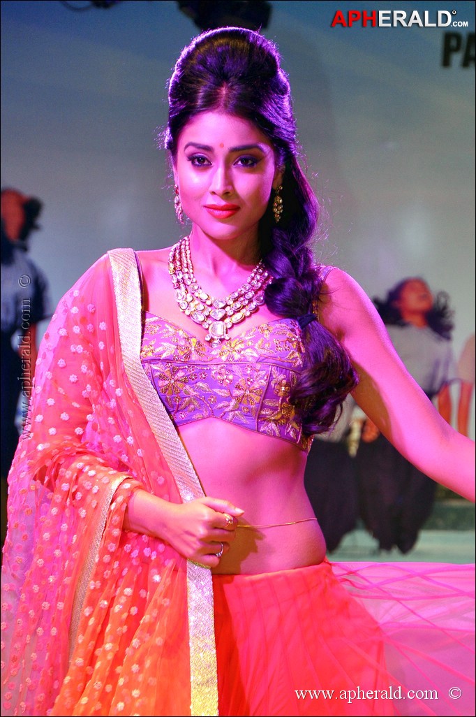 Shriya Saran Sizzling Cute Photos