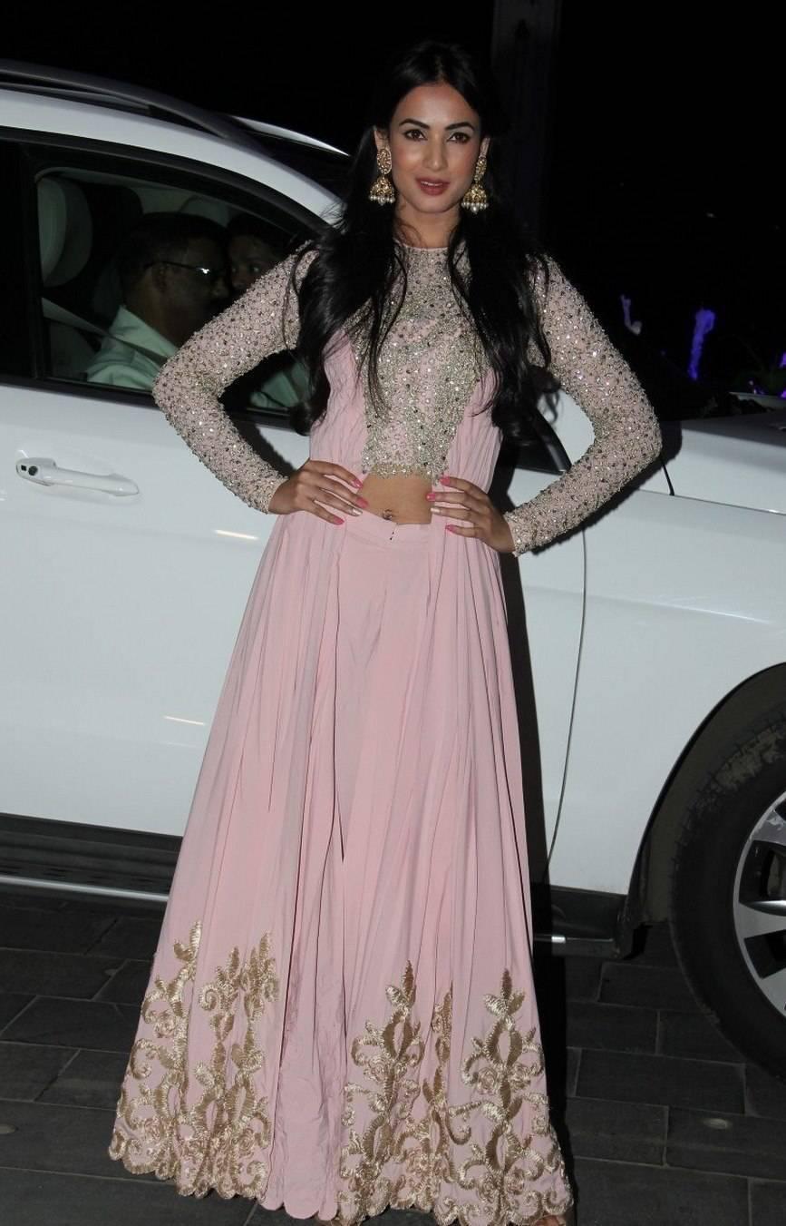 Sonal Chauhan Photos At Tulasi Kumar Wedding Reception