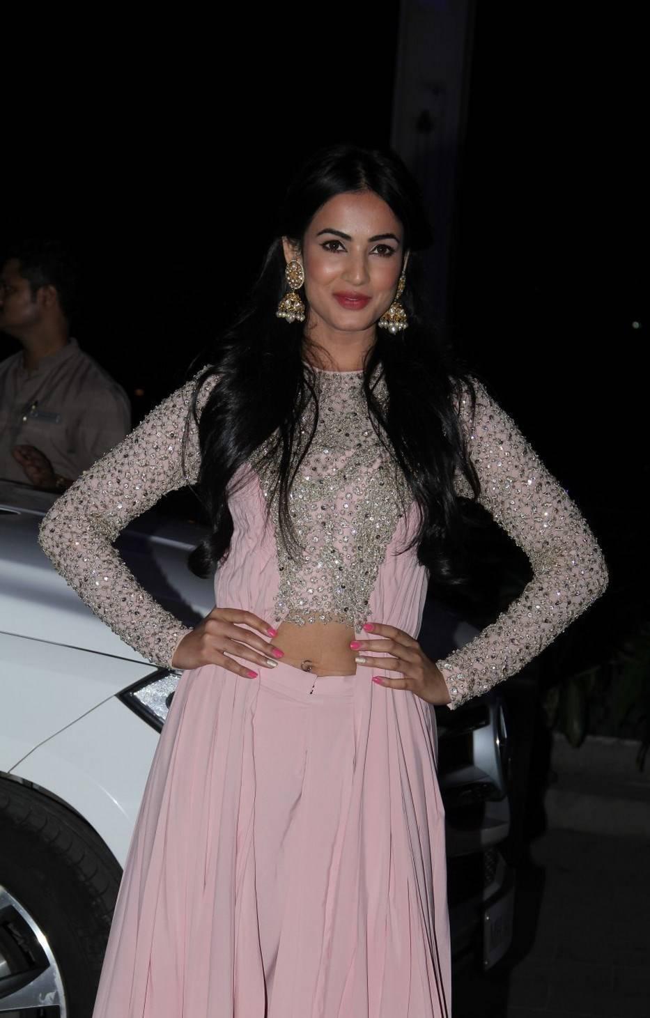 Sonal Chauhan Photos At Tulasi Kumar Wedding Reception